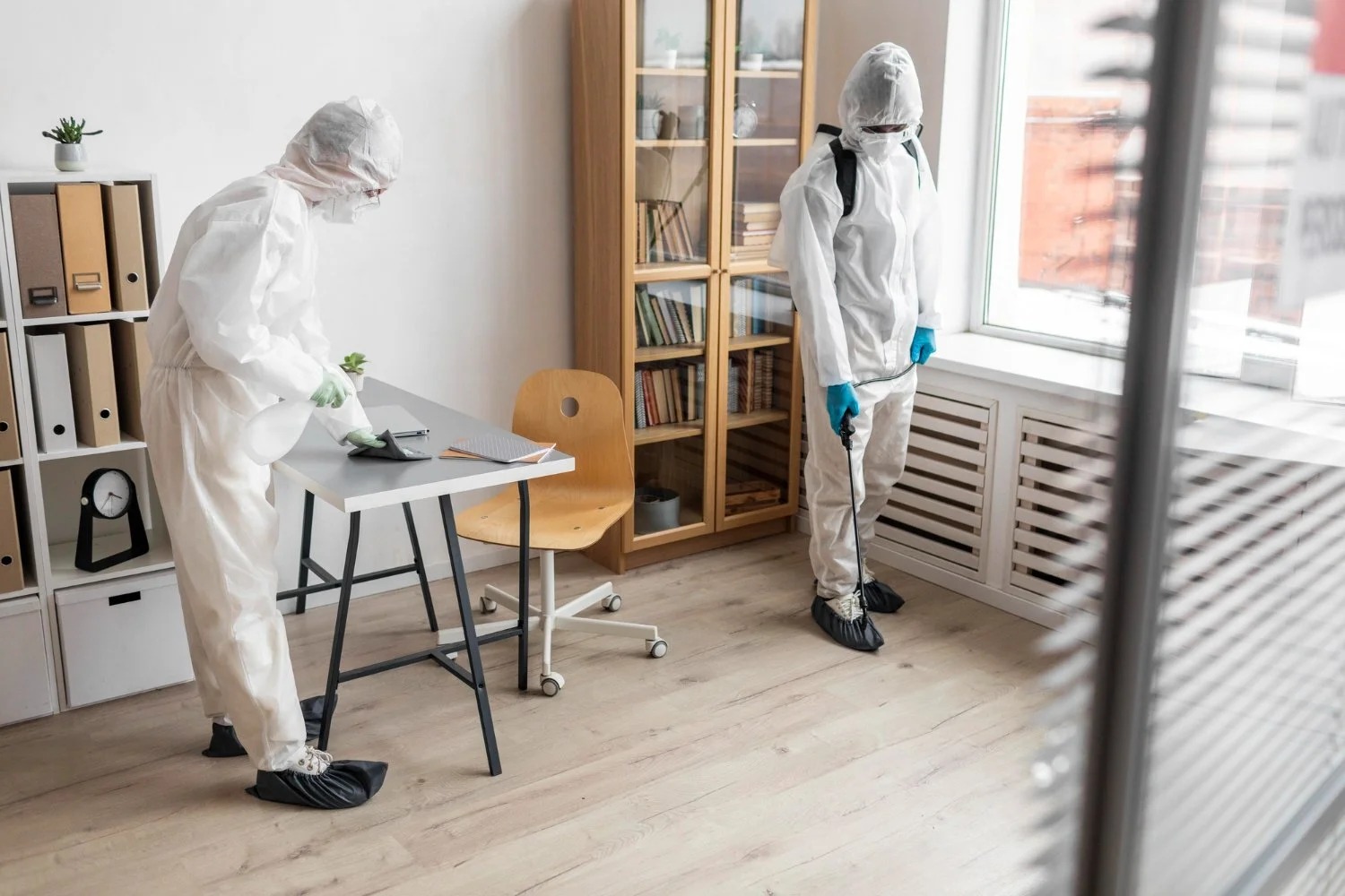 Effective Bed Bug Pest Control for Apartments